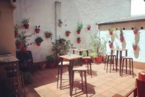 EL PATIO DE MI CASA